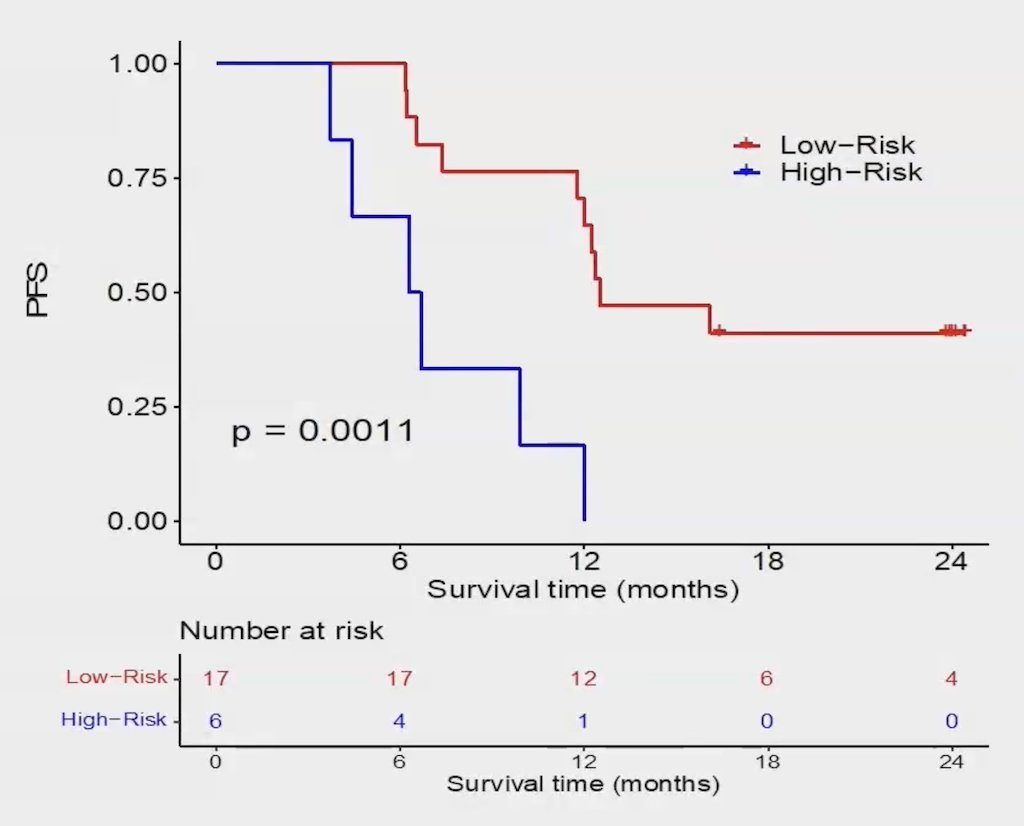  high risk genomic signature was validated in 23 patients, which was prognostic for progression free survival (median 12.5 months for low-risk versus 6.5 months for high risk); HR 5.95, 95% CI 1.83-19.3