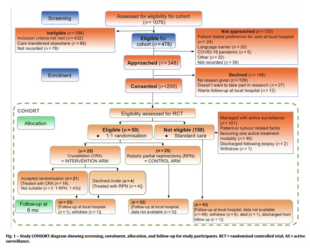 NEST trial demonstrated feasibility of recruiting to a cohort-embedded randomized clinical trial comparing cryoablation versus partial nephrectomy