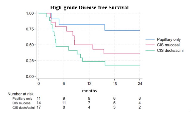 3-month assessment, 29 patients (69%) were disease-free and 90% of patients received ongoing maintenance treatment. Despite this, 30 (71%) patients recurred at a median of 8.5 months (IQR 6.7 to 12.6). High grade disease free survival is as follows, favoring papillary only disease