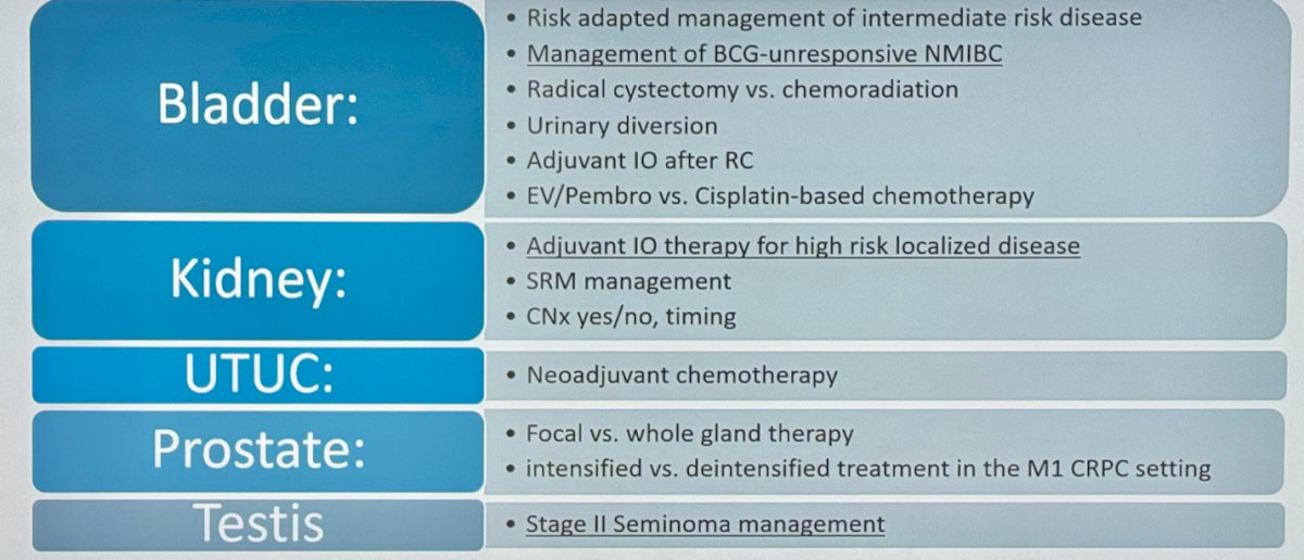 critical areas in GU oncology where we need decision aids to support shared decision-making