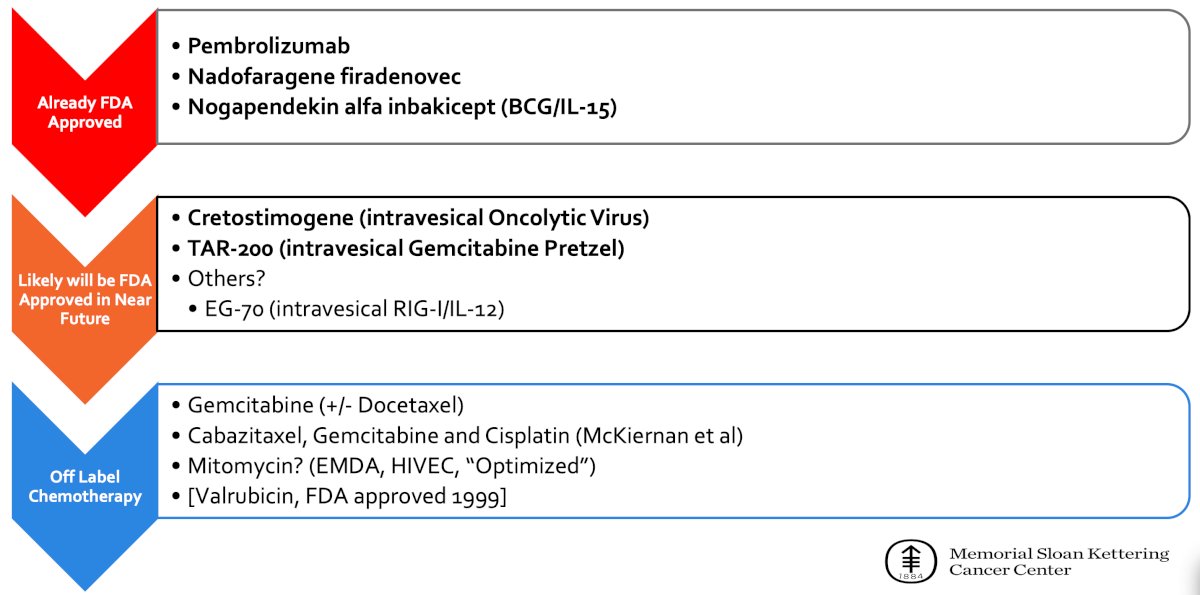 The current state of BCG unresponsive NMIBC includes already FDA approved agents, those that will likely be FDA approved in the near future, and off-label chemotherapy