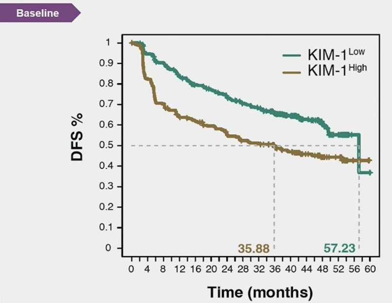 A promising biomarker for RCC is Kidney Injury Molecule-1 (KIM-1), a type 1 membrane glycoprotein identified as a marker for unresected clear cell RCC and early detection of RCC. In a study presented at ASCO 2024, patients treated in the IMmotion 010 study showed that KIM-1–high status was associated with reduced disease-free survival. However, patients with high KIM-1 had better disease-free survival when treated with atezolizumab compared to placebo (HR 1.75, 95% CI 1.40-2.17).&nbsp;&nbsp;