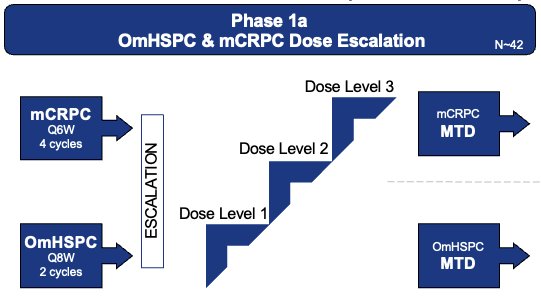  The dose escalation scheme follows the Bayesian Optimal Interval (BOIN) model-assisted dose-finding method. Enrolment of the OmHSPC cohort will open upon safety review of initial dosing with mCRPC patients.