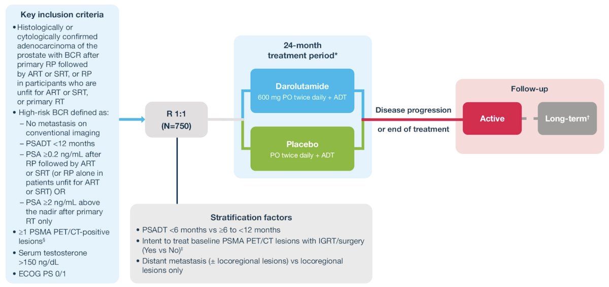 Approximately 750 patients from 221 global sites will be randomized 1:1 to oral darolutamide 600 mg twice daily or placebo, both with ADT, for 24 months or until disease progression, unacceptable toxicity, or withdrawal of consent. Patients with detectable PSA values (≥0.2 ng/mL) after 24 months will continue study treatment until PSMA PET/CT progression by blinded independent central review: