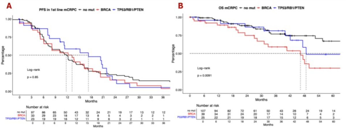 In terms of PFS analyses, no significant differences were observed among the three groups in in the first-line mCRPC treatment setting, However, median OS differed significantly, with 46.3 months for BRCA-mutated patients, 48.7 months for tumor suppressor gene-mutated patients, and 95.4 months for patients without mutations (p<0.05).