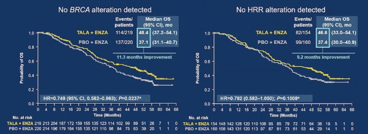 In exploratory analyses of patients with results available for both circulating tumor DNA and tumor tissue, overall survival favored talazoparib + enzalutamide versus placebo + enzalutamide in patients without&nbsp;BRCA1/2&nbsp;alterations (n = 439; HR 0.749, 95% CI 0.582–0.963) and in patients without HRR alterations (n = 314; HR 0.782, 95% CI 0.582–1.050; p = 0.101)