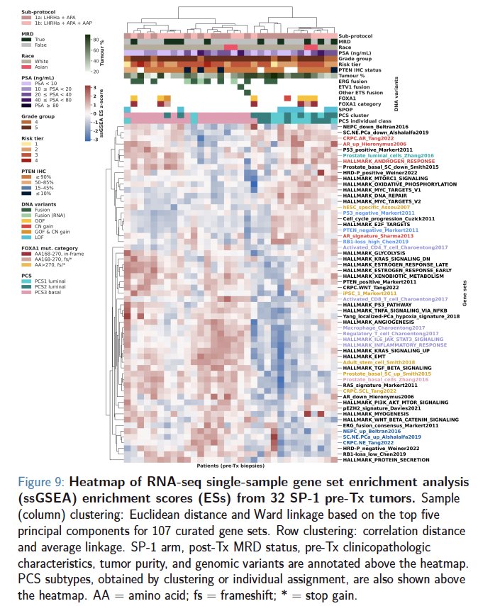 The clustering predominantly separated tumors with ETS gene fusions (e.g. TMPRSS2–ERG) from tumors with SPOP mutations, and basal (PCS3) tumors from luminal (PCS1/2) tumors.