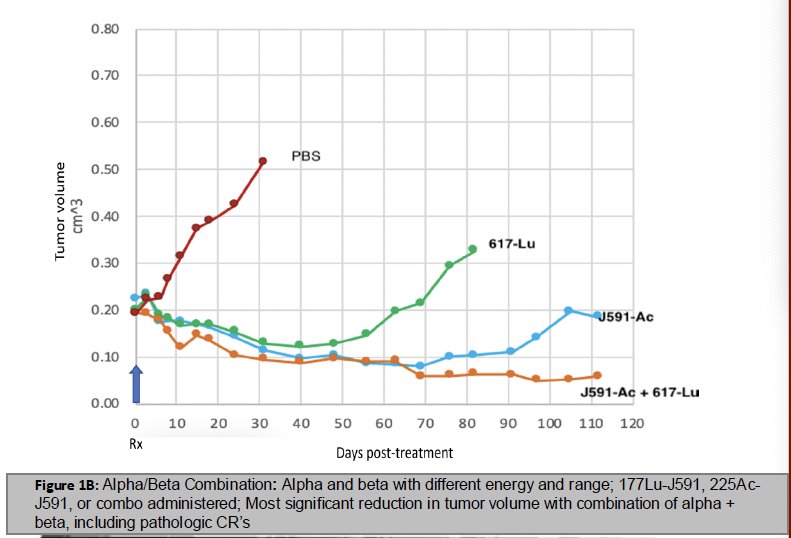 Small molecules are not retained intracellularly and the combination of an antibody with small-molecule ligands may enhance intracellular retention, as suggested by preclinical models. 2