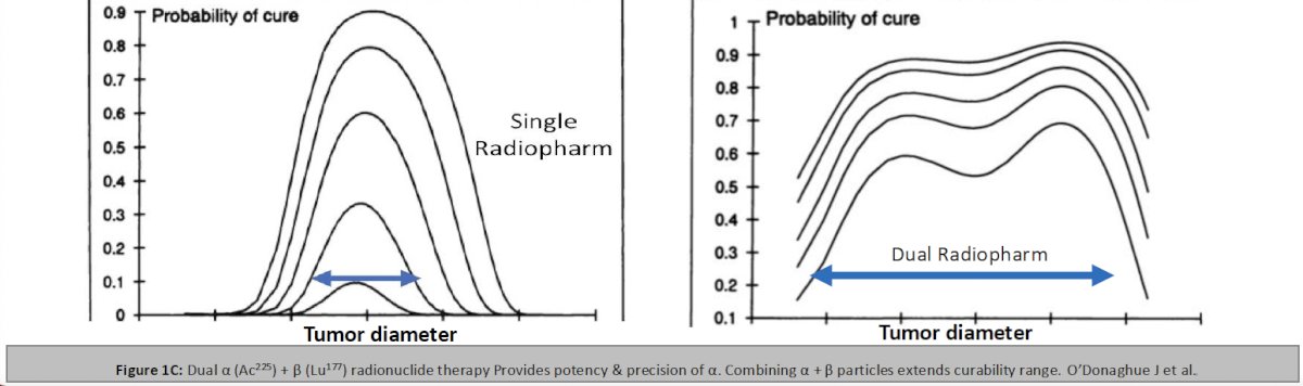 Small molecules are not retained intracellularly and the combination of an antibody with small-molecule ligands may enhance intracellular retention, as suggested by preclinical models. 3