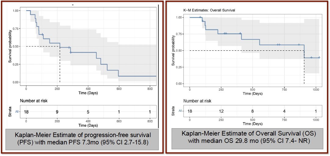 With extended follow up, the median OS to date is 29.8 months (95% CI: 7.4 – not reached). Currently, 6 patients are confirmed alive at 28 months median follow-up. With regards to progression-free survival, at the RP2D, 3 of 6 were progression-free at 13, 17 and 18 months. 1 of 6 treated at dose level 30 KBq/kg remains progression-free at 33 months follow up. The median PFS was 7.3 months