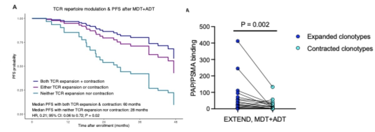 Among all patients randomized to MDT + ADT, TCR repertoire modulation was significantly associated with longer PFS (HR 0.21; 95% CI 0.06–0.76; P = 0.02) as illustrated below: