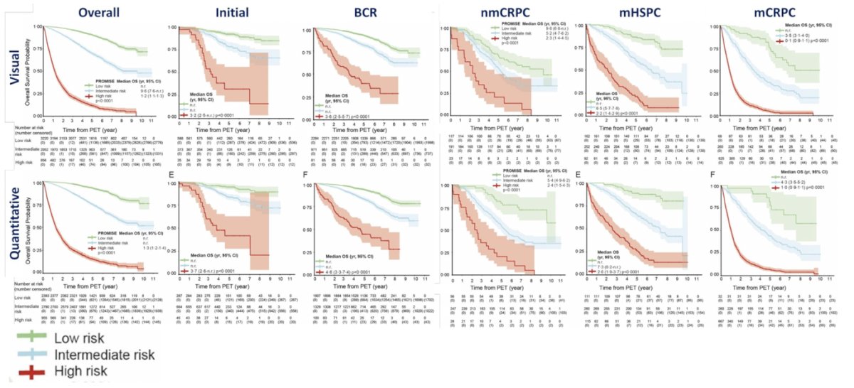 The following shows overall survival curves for all patients, initial staging, biochemical recurrence, non-metastatic castration resistant prostate cancer, metastatic hormone sensitive prostate cancer, and metastatic castration resistant prostate cancer subgroups separate for PPP2 risk groups: