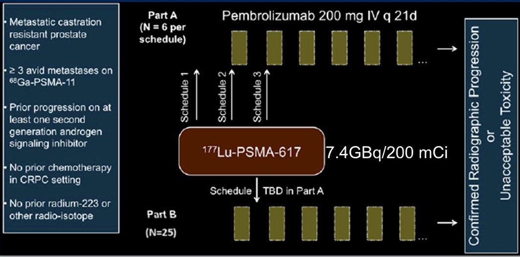 Another phase I trial assessed single dose 177Lu-PSMA-617 followed by maintenance pembrolizumab in patients with mCRPC: