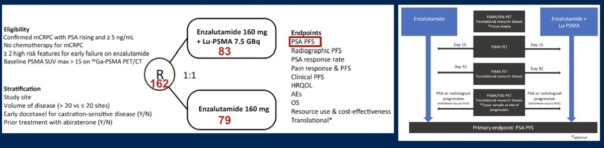 Enza-P patients had mCRPC not previously treated with chemotherapy or androgen receptor pathway inhibitors (prior abiraterone and/or docetaxel for hormone-sensitive disease were allowed),&nbsp;68Ga-PSMA-positive disease on PET, and at least 2 risk factors associated with early progression on enzalutamide [1]. Patients were randomized to 177Lu-PSMA-617 + enzalutamide versus enzalutamide alone: