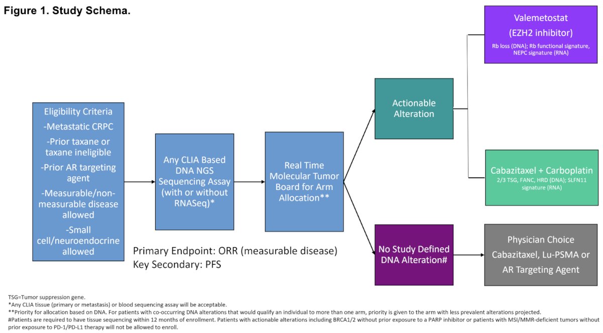 The primary endpoint is objective response rate, with progression-free survival a key secondary endpoint.
