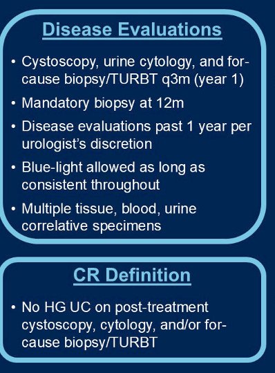 The detailed disease evaluation protocols, complete response definition, and statistical methods are summarized below: