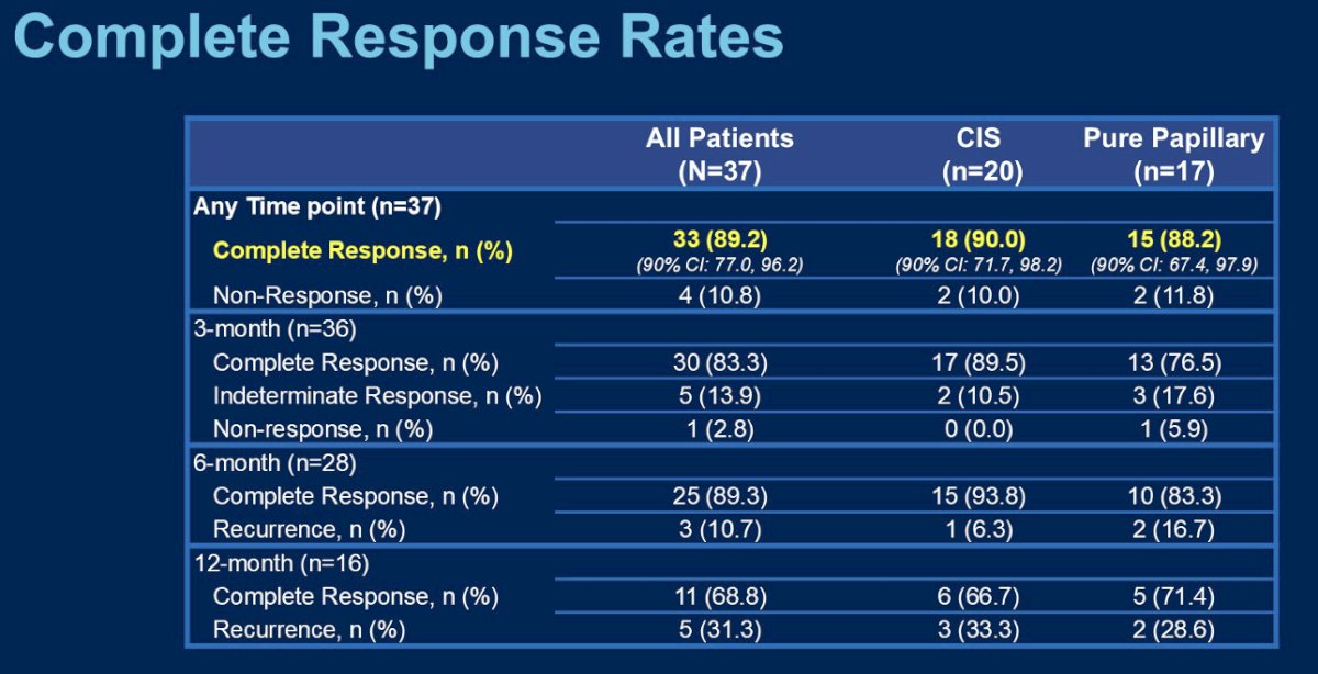 Among 37 evaluable patients for response, 33/37 (89%) had a complete response. The proportions of CRs were similar among CIS (90%) and pure papillary disease (88%) patients.