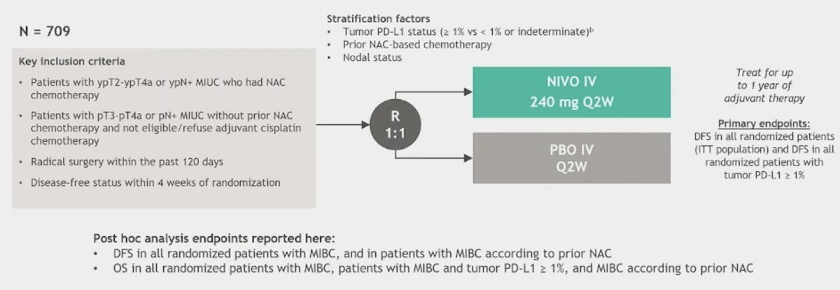 Patients were randomized 1:1 to nivolumab 240 mg every 2 week or placebo for ≤ 1 year of adjuvant treatment, stratified by tumor PD-L1 expression, nodal status, and prior neoadjuvant chemotherapy: