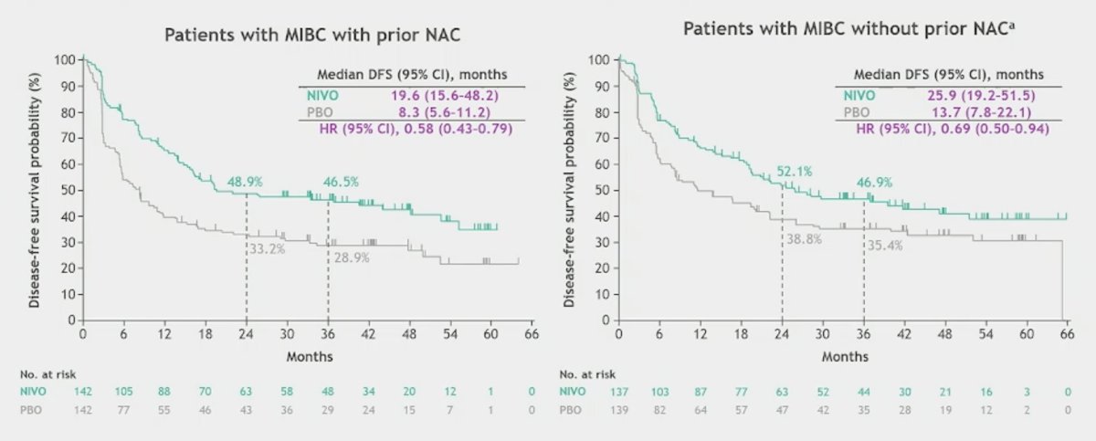 Additionally, there was disease free survival benefit for adjuvant nivolumab in patients with muscle invasive bladder cancer who had received neoadjuvant chemotherapy (HR 0.58, 95% CI 0.43-0.79) and patients without prior neoadjuvant chemotherapy (HR 0.69, 95% CI 0.50-0.94):
