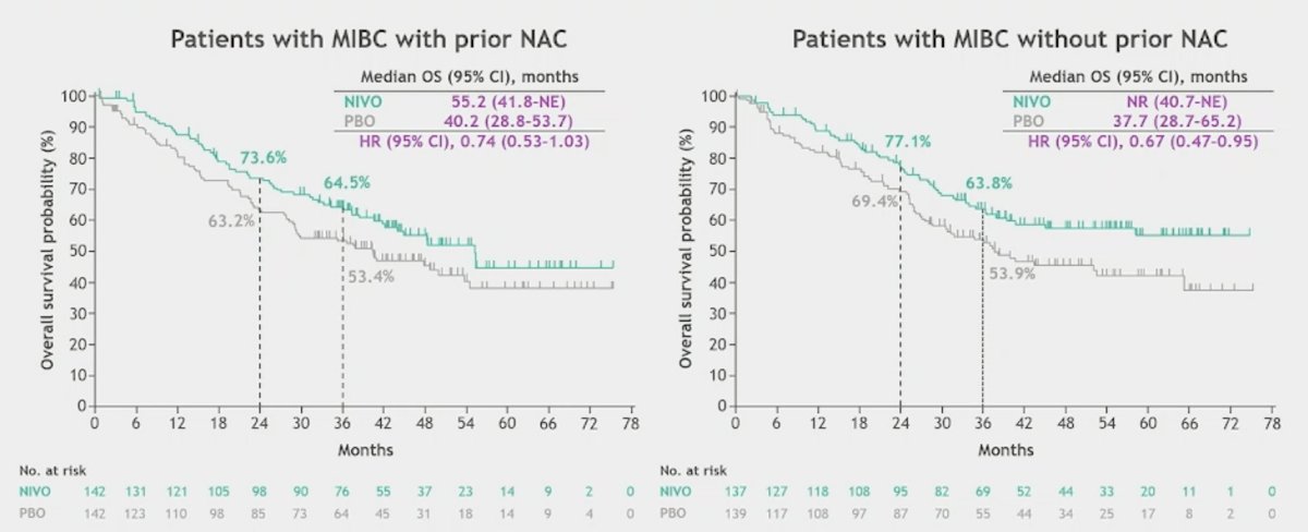 Additionally, adjuvant nivolumab improved survival for patients with muscle invasive bladder cancer and had tumor PD-L1 ≥ 1% (HR 0.48, 95% CI 0.29-0.77), as well as in patients with muscle invasive bladder cancer with (HR 0.74, 95% CI 0.53-1.03) and without prior neoadjuvant chemotherapy (HR 0.67, 95% CI 0.47-0.95)