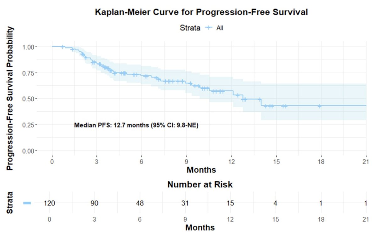 Among the responders, the median number of treatment cycles to first response was 3 (IQR: 2.25–4). Within the follow-up, 28 patients (23.3%) experienced eventual radiographic disease progression, with death being observed in 25 patients (20.8%). The median progression free survival was 12.7 months (95% CI: 9.8-NE):
