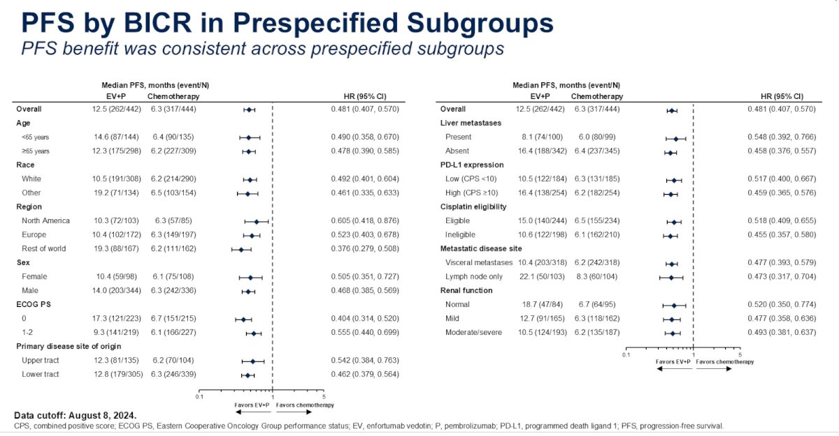 The PFS benefit was observed across all evaluable subgroups