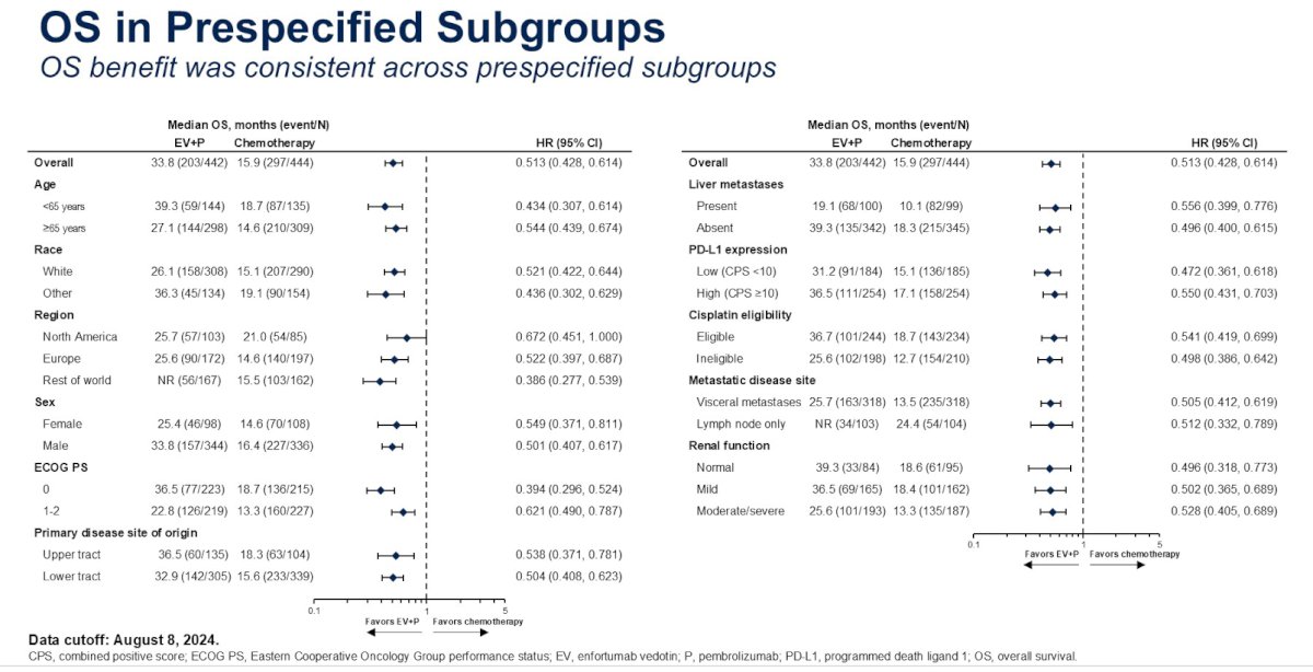 Subgroup analyses demonstrated consistent OS benefits across all evaluable subgroups: