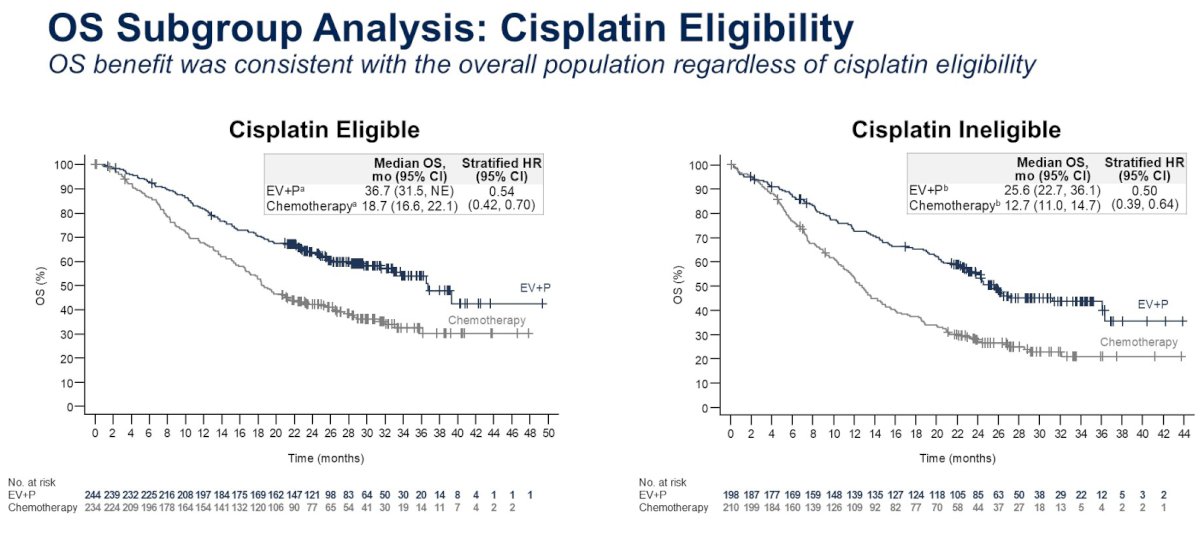 Importantly, a strong OS advantage for EV+P was observed in both cisplatin eligible (median: 36.7 versus 18.7 months) and ineligible patients (median: 25.6 versus 12.7 months).