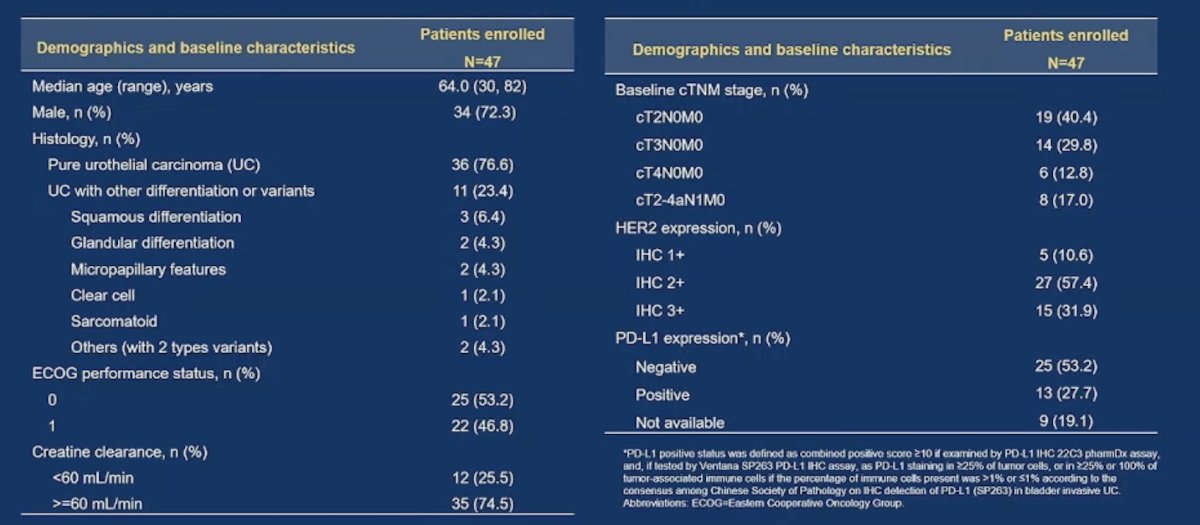 As of the data cutoff, patient enrollment was completed with 47 patients enrolled and treated, including 10.6% patients with HER2 IHC 1+, 57.4% with HER2 IHC 2+, and 31.9% with HER2 IHC 3+. Overall, 83.0% patients at baseline had T2-4N0M0 disease and 17.0% had cT2-4aN1M0: