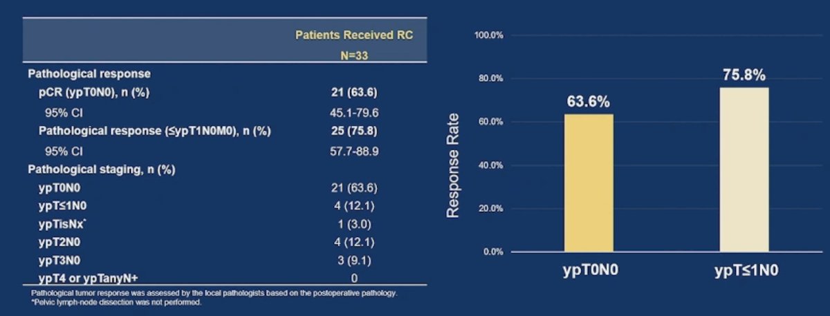 The median time from the end of neoadjuvant treatment to radical cystectomy was 5.0 weeks (range: 2.6-13.1), and the pathological complete response rate was 63.6% (95% CI 45.1%-79.6%), with a pathological response rate of 75.8% (95% CI: 57.7%-88.9%)