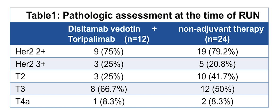 The study included 36 patients with UTUC who underwent radical nephroureterectomy. Among them, 12 received adjuvant treatment with disitamab vedotin combined with toripalimab, while 24 did not receive postoperative adjuvant therapy. Notably, the majority of patients in the treatment group had HER2 2+ status (75%), while 25% had HER2 3+ status. Additionally, most patients in the treatment group (67%) had T3 disease, highlighting a population at higher risk for recurrence.