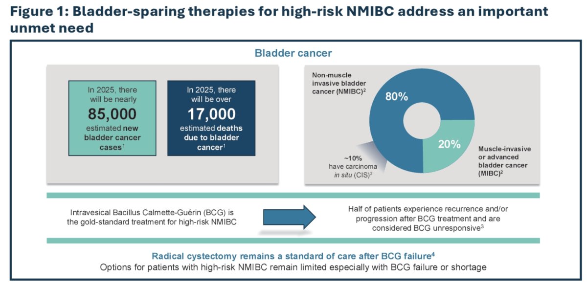  LEGEND, a phase 2 study of detalimogene voraplasmid (EG-70) for patients with BCG-unresponsive non-muscle invasive bladder cancer (NMIBC) with CIS. Bladder sparing therapies for high risk NMIBC address an important unmet need