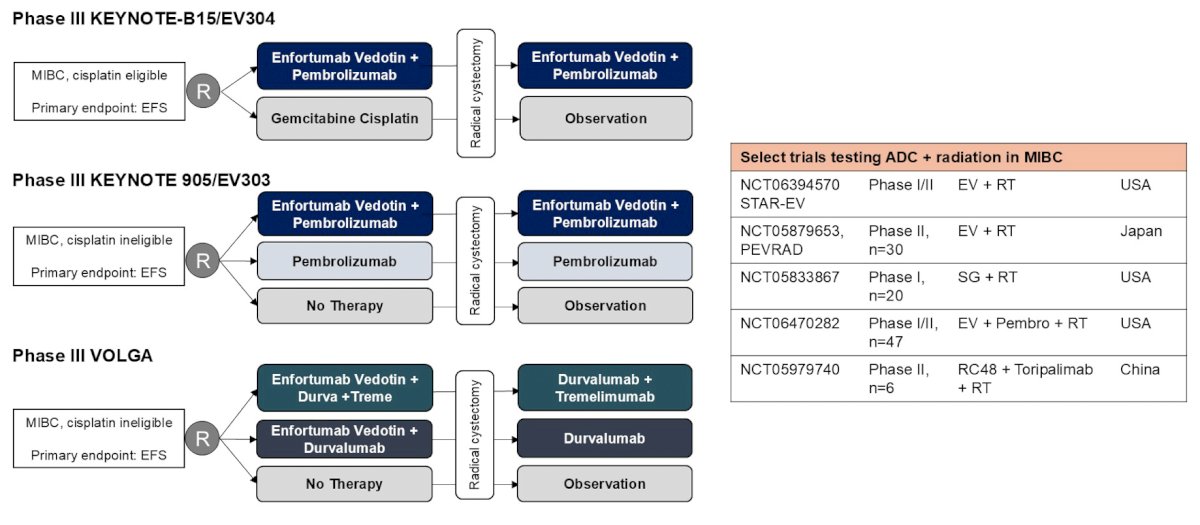 In the muscle invasive bladder cancer space, ongoing trials include the (i) phase III KEYNOTE-B15/EV34 trial, (ii) phase III KEYNOTE 905/EV303, and (iii) phase III VOLGA trial: