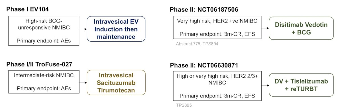 In the non-muscle invasive bladder cancer space, ongoing trials include the (i) phase I EV104 trial, (ii) the phase I/II TroFuse-027 trial, (iii) phase II NCT06187506 trial, and (iv) phase II NCT06630871 trial:
