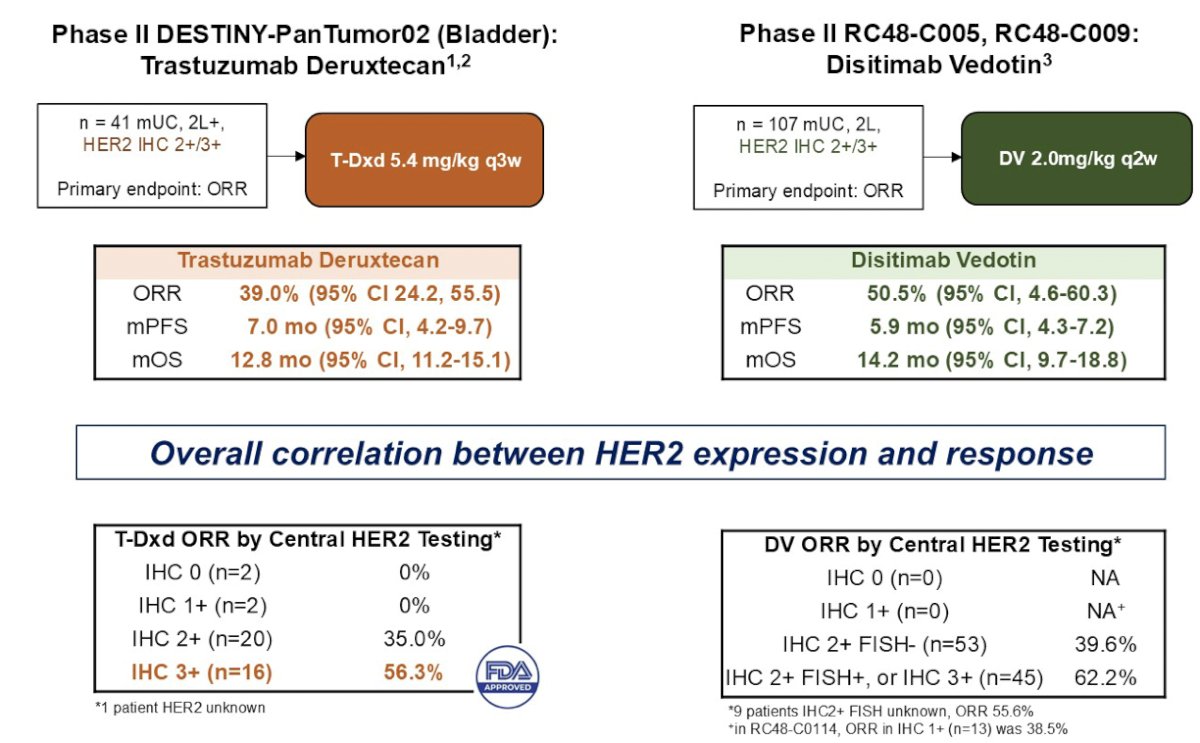 Sacituzumab govitecan is also in this disease space and was evaluated the TROPiCS-04 Cohort 3 trial randomizing patients to sacituzumab govitecan versus taxane/vinflunine, with an objective response rate of 23%, median progression free survival of 4.2 months, and median overall survival of 10.3 months. However, FDA approval was withdrawn for this indication of sacituzumab govitecan. HER2 antibody drug conjugates are also showing promising activity in early phase studies, notably the phase II DESTINY-Pan Tumor02 (Bladder) assessing trastuzumab deruxtecan and phase II RC48-C005, RC48-C009 assessing disitamab vedotin: