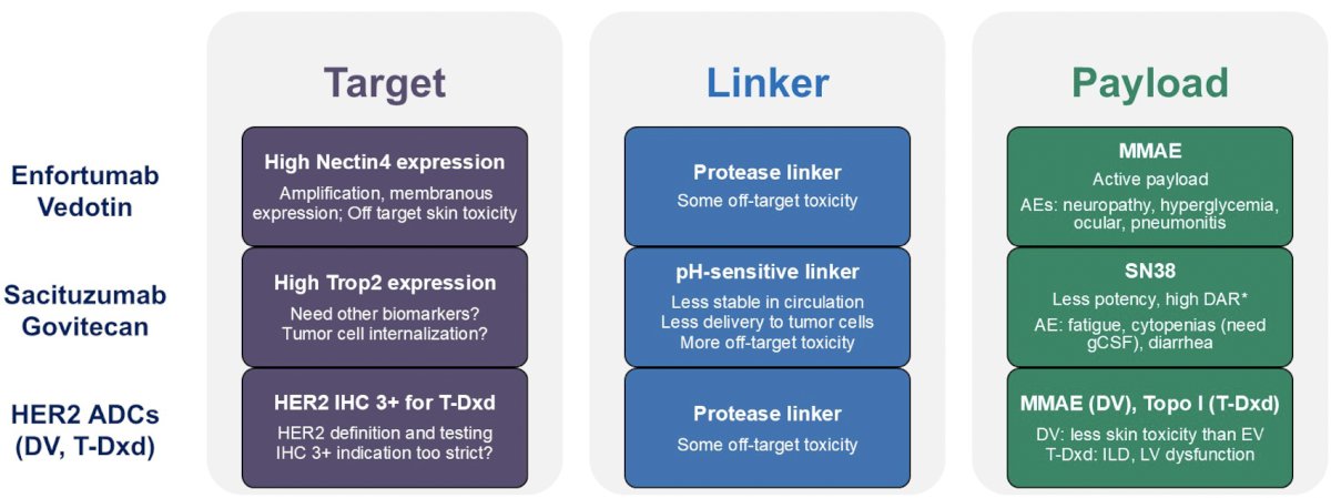 Dr. Jiang notes that not all antibody drug conjugates are created equal. The following figure highlights the impact of mechanism of action, specifically assessing the target, linker, and payload: