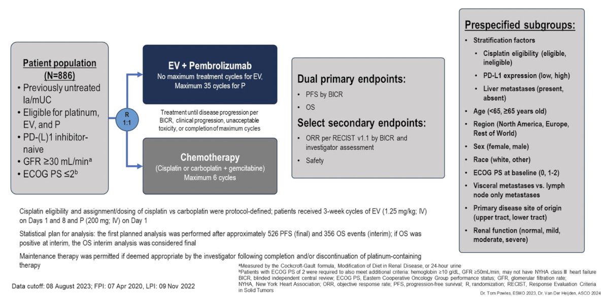 Dr. Jiang notes that there is rationale for combining antibody drug conjugates with immune checkpoint inhibitors given that preclinical evidence suggests that antibody drug conjugates have immunomodulatory activity. This occurs by inducing immunogenic cell death, recruitment of T cells to the tumor microenvironment, and activating dendritic cells. This provides a strong rationale for testing antibody drug conjugate combination strategies with immune checkpoint inhibitors. In the EV-302/KEYNOTE-A39 trial [2] patients were randomized 1:1 to either enfortumab vedotin + pembrolizumab (n = 442) or gemcitabine + cisplatin/carboplatin (n = 444) for a maximum of 6 cycles. The dual primary endpoints were progression-free survival, assessed via blinded independent central review and overall survival. The study design is as follows: