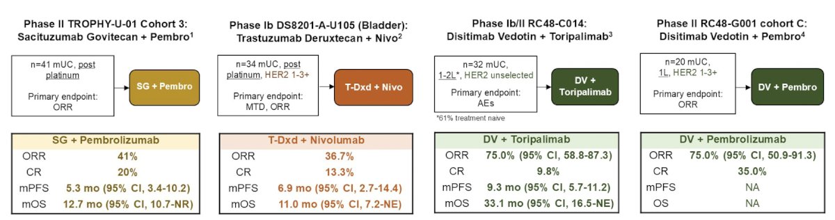 Other antibody drug conjugate combinations with immune checkpoint inhibitors include sacituzumab govitecan + pembrolizumab in the phase II TROPHY-U01 Cohort 3 trial, trastuzumab deruxtecan + nivolumab in the phase Ib DS8201-A-U105 trial, disitamab vedotin + toripalimab in the phase Ib/II RC48-C014 trial, and disitamab vedotin + pembrolizumab in the phase II RC48-G001 cohort C trial: