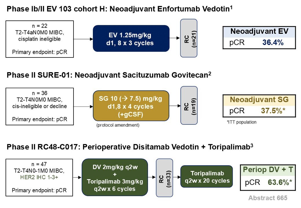 Several trials are also looking at antibody drug conjugates in the curative muscle invasive bladder cancer setting, including EV-103 cohort H, SURE-01, RC48-C017: