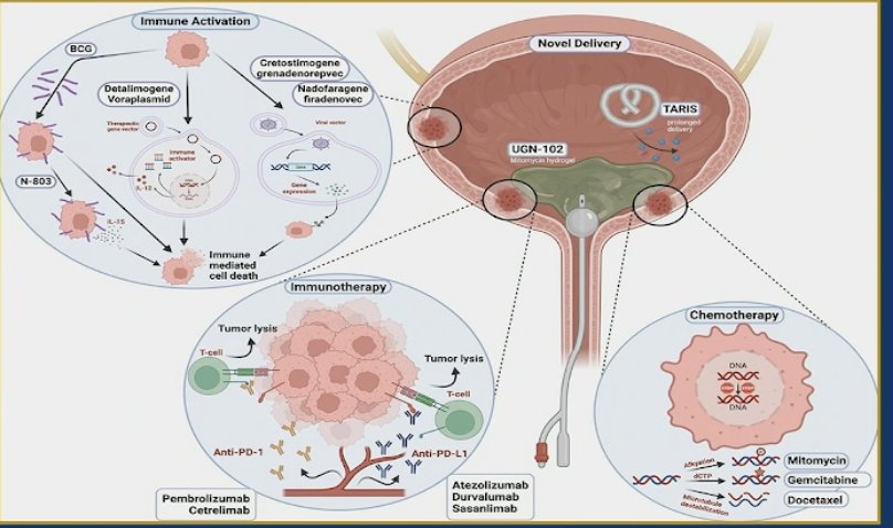 Novel treatment options like the TARIS delivery system and UGN-102 offer promising alternatives for patients with BCG-unresponsive NMIBC, providing bladder-sparing approaches that could delay or even eliminate the need for radical cystectomy. These therapies are designed to improve drug delivery and efficacy while reducing treatment burden. Importantly, we should not focus solely on achieving a complete response (CR) at three months but also consider other key factors, including efficacy (both CR and durability of response), treatment schedule intensity, route of administration, side effects, cost, and overall quality of life. This highlights the need for patient-centered approaches that balance efficacy with tolerability, convenience, and individualized patient priorities.