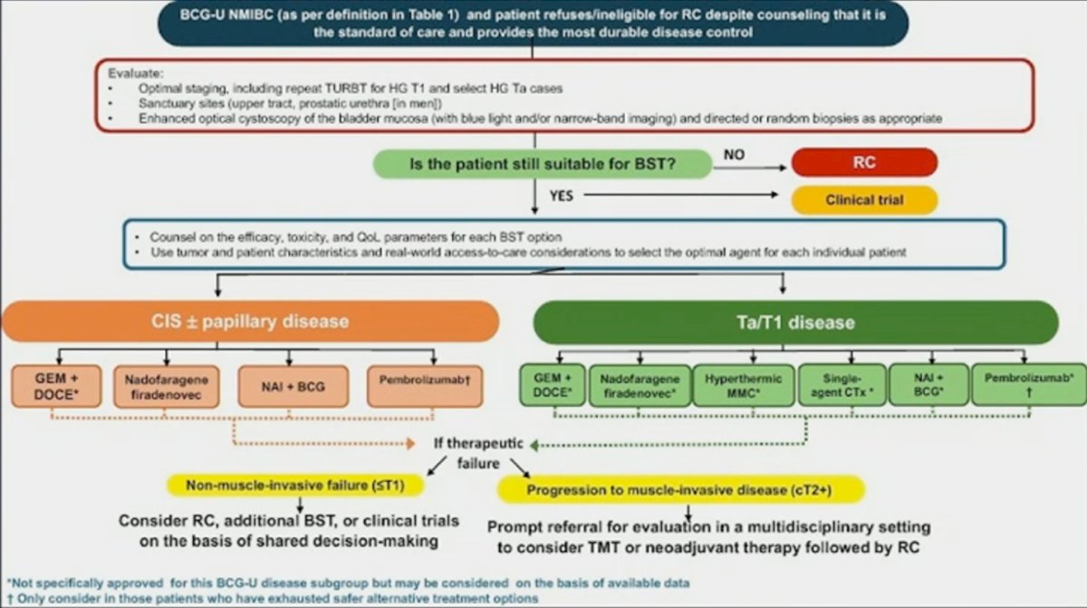Patients who undergo radical cystectomy after BCG-unresponsive NMIBC often have muscle-invasive disease by the time of surgery, highlighting the risks of delaying definitive treatment. Many patients move from one salvage therapy to another, which may not be ideal. Instead, we should focus on identifying the appropriate timing for radical cystectomy while ensuring that patients are well-informed about the efficacy, risks, and alternative treatment options. Below is a proposed algorithm for managing patients with BCG-unresponsive NMIBC, balancing the need for bladder preservation with timely intervention to prevent disease progression.