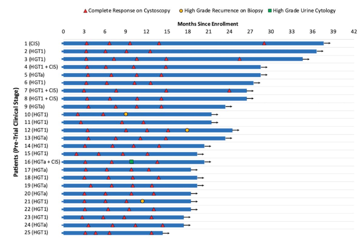 In a single-arm phase II trial, intravesical Gemcitabine + Docetaxel demonstrated promising short-term efficacy and was well-tolerated in patients with BCG-naïve high-risk NMIBC. Among the 25 patients, most of whom had papillary disease, the complete response (CR) rate was 100% at three months and 92% at 12 months. Notably, no patients were upstaged to T2, required cystectomy, or developed cN+ or cM+ disease. In terms of safety, over 80% of patients completed the induction regimen, with grade 1–2 adverse events being common. Grade 3 adverse events, including urinary tract infections and hematuria, occurred in 20% of patients, but no grade 4–5 toxicities were reported.4 2