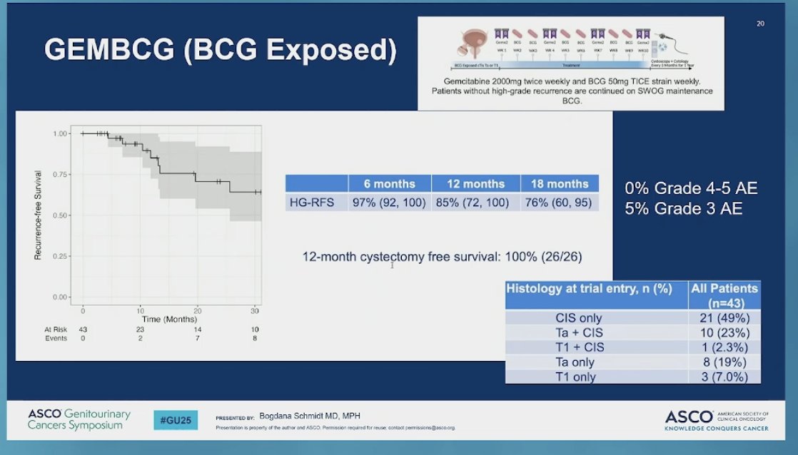 In a study of BCG-exposed patients (75% with CIS ± papillary disease), treatment consisted of gemcitabine 2 g twice weekly alongside 50 mg BCG (TICE strain) weekly. Patients without recurrence continued on SWOG maintenance BCG. While this was an intense treatment schedule, it yielded impressive results, with 85% of patients achieving high-grade recurrence-free survival (HG RFS) at 12 months. Additionally, the regimen was well tolerated, with only 5% experiencing grade 3 adverse events and no grade 4 or 5 toxicities.5