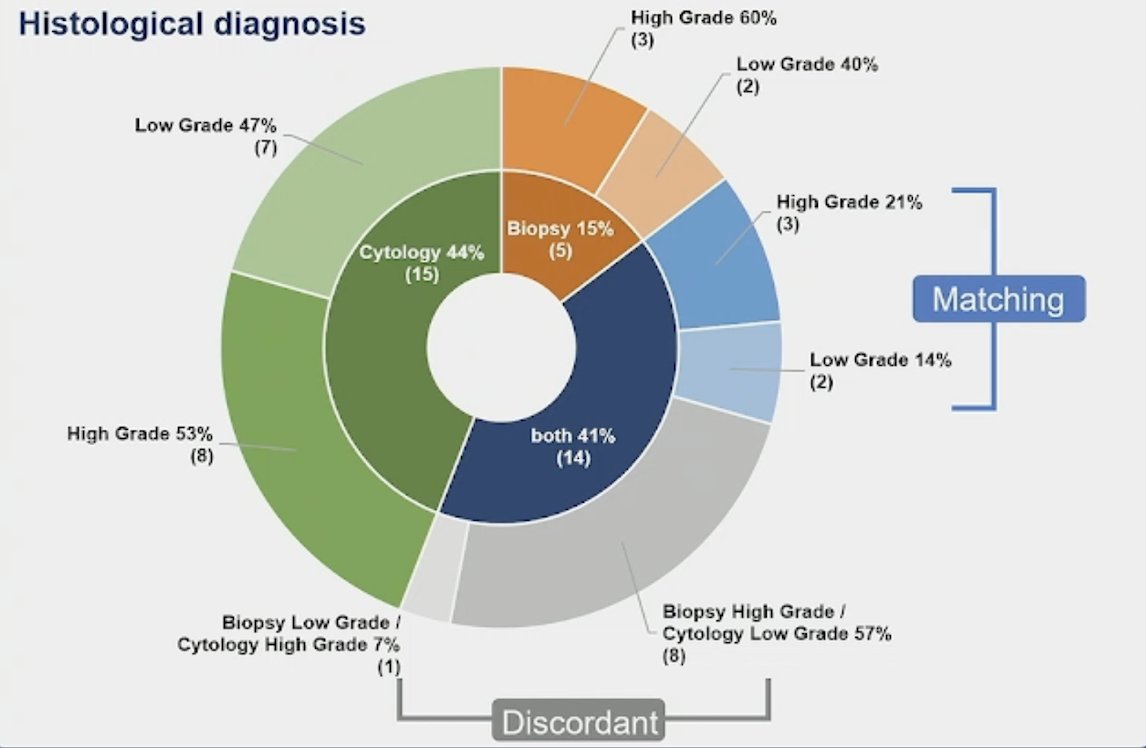 A total of 50 patients were enrolled&nbsp;between 2021 and 2023 (30 in cohort 1 – cisplatin/gemcitabine + durvalumab; 19 in cohort 2 – carboplatin/gemcitabine + durvalumab; 1 patient withdrew consent). The median age was 68 years of age (range 38-79) and 59% were males. Overall, 90% of patients (n = 44) received 4 cycles of treatment, 3 patients received 3 cycles, and 2 patients received 2 cycles. Five patients switched to carboplatin during chemotherapy. The results for the pre-trial histologic diagnosis are highlighted as follows: