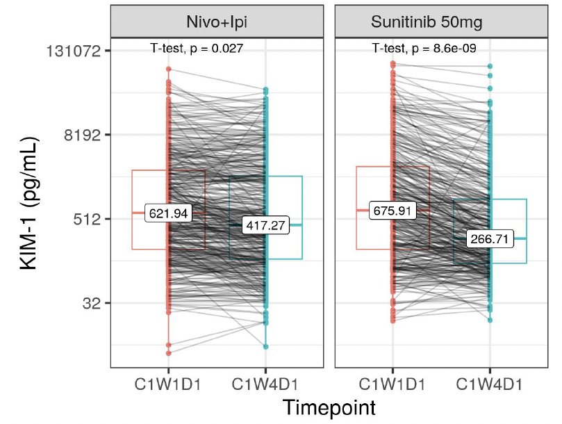 In both nivolumab + ipilimumab and sunitinib, circulating KIM-1 levels were overall lower after 3 weeks of treatment compared to baseline.