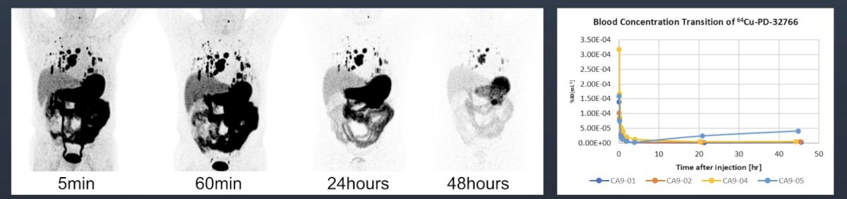 The accumulation in the tumor was confirmed to be sustained over a long period, and blood concentration dropped sharply within 5 minutes after administration, indicating good clearance:
