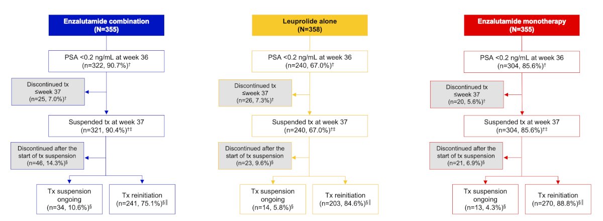 The patient disposition based on treatment suspension status is highlighted in the following table