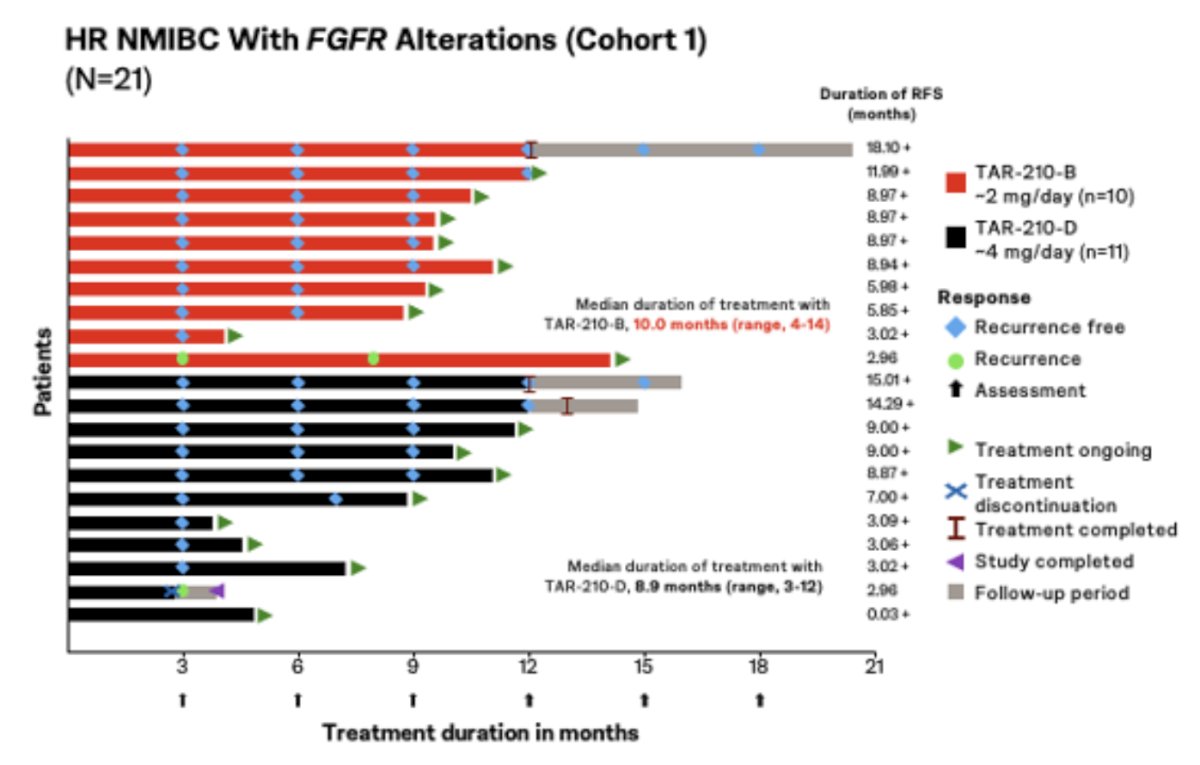In cohort 1, 90% of patients were recurrence free at 12 months, the median recurrence free survival was not estimable, and the median duration of follow-up was 8.9 months