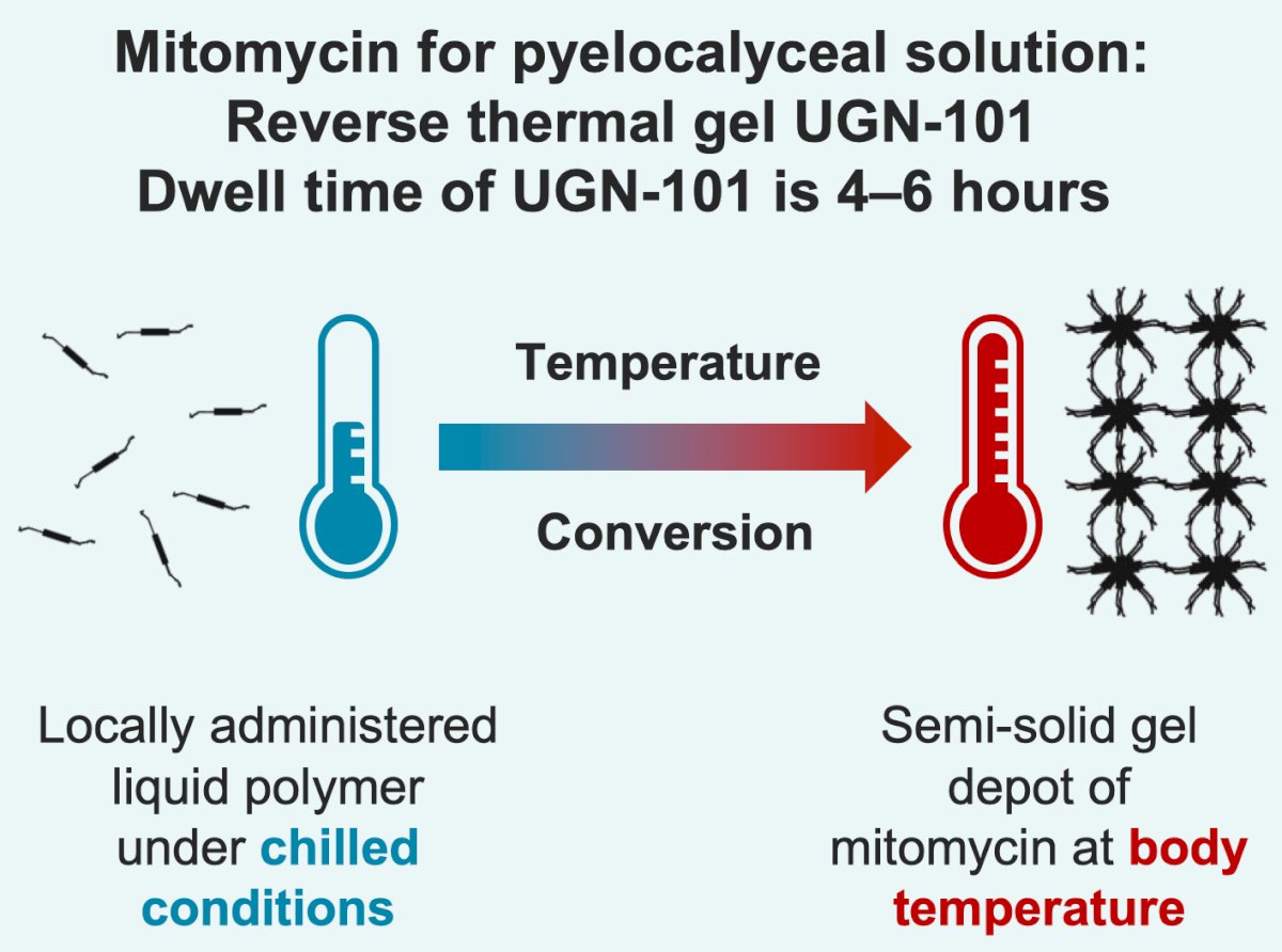 Mitomycin is a chemotherapy agent that destroys tumor cells via inhibition of DNA synthesis. In the phase 3, single arm pivotal OLYMPUS trial UGN-101, a reverse thermal gel containing mitomycin (4 mg/mL) used as primary treatment for low-grade upper tract urothelial carcinoma, resulted in clinically significant disease eradication