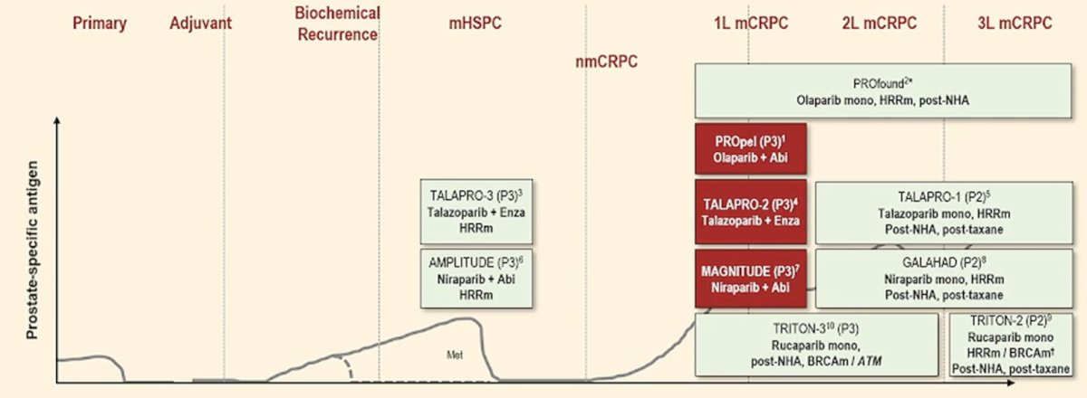image-5.jpg